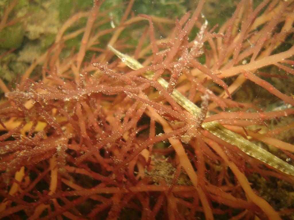 2008-08-09 09-40-01 H.JPG